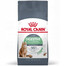 Royal Canin Digestive Care 10 kg - sucha karma dla kotów wspomagająca przebieg trawienia 10kg