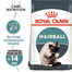 Royal Canin Hairball Care 10 kg - sucha karma dla kotów z tendencją do powstawania kul włosowych 10kg