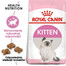 Royal Canin Second Age Kitten 10 kg - sucha karma dla kociąt 10kg
