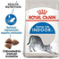Royal Canin Home Life Indoor27, 400 g - sucha karma dla kotów dorosłych, przebywających w domu 400g
