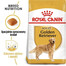 Royal Canin Adult Golden Retriever 12kg - karma dla psów rasy Golden Retriever powyżej 15-tego miesiąca życia 12kg