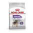 Royal Canin Mini Sterilised 8 kg- sucha karma dla psów rasy małej sterylizowanych 8kg