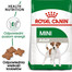 Royal Canin Mini Adult 8 kg + 1 kg GRATIS - sucha karma dla dorosłych psów ras małych 8kg + 1kg GRATIS