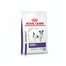 Royal Canin Adult Small Dog 2 kg - sucha karma dla dorosłych psów ras małych 2kg