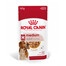 ROYAL CANIN Medium adult, 10x140 g - Mokra karma dla psów ras średnich, 10x140g
