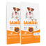 IAMS ProActive Health Adult Small & Medium Breed Chicken 24 kg (2 x 12 kg) - sucha karma dla dorosłych psów małych i średnich ras