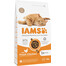 IAMS Cat Adult All Breeds Chicken 3 kg - sucha karma dla dorosłych kotów