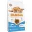 IAMS Cat Adult All Breeds Ocean Fish 3 kg - sucha karma dla kotów