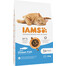 IAMS ProActive Health Adult with Fish & Chicken 10 kg - sucha akrma dla kotów z rybami