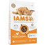 IAMS for Vitality Chicken sucha karma dla dorosłych kotów z kurczakiem 1,5 kg