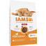IAMS For Vitality Indoor sucha karma z kurczakiem dla dorosłych kotów domowych 10 kg