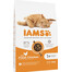 IAMS Cat Adult All Breeds Chicken 10 kg - sucha karma dla kotów