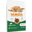 IAMS ProActive Health Adult with Lamb & Chicken 10kg- sucha karma dla dorosłych kotów