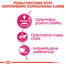Royal Canin Feline Preference Protein Exigent 10 kg - sucha karma dla wybrednych kotów 10kg