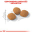 Royal Canin Feline Preference Protein Exigent 10 kg - sucha karma dla wybrednych kotów 10kg