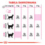 Royal Canin Feline Preference Protein Exigent 10 kg - sucha karma dla wybrednych kotów 10kg