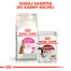 Royal Canin Exigent Protein 0.4 kg - sucha karma dla kotów dorosłych, wybrednych 0.4kg