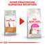 Royal Canin Feline Preference Protein Exigent 10 kg - sucha karma dla wybrednych kotów 10kg