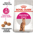 Royal Canin Feline Preference Protein Exigent 10 kg - sucha karma dla wybrednych kotów 10kg