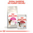 Royal Canin Feline Preference Aroma Exigent 10 kg - sucha karma dla wybrednych kotów 10kg