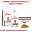 Royal Canin Cat Gastro Intestinal Feline 2 kg - sucha karma dla kotów z zaburzeniami żołądkowo-jelitowymi 2kg