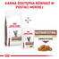 Royal Canin Cat Fibre Response 0.4 kg - sucha karma dla kotów z wrażliwym układem pokarmowym 0.4kg