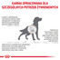 Royal Canin Dog Hepatic Canine 12 kg - sucha karma dla psów ze schorzeniami wątroby 12kg