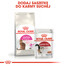 Royal Canin Feline Preference Savour Exigent 4 kg - sucha karma dla wybrednych kotów 4kg