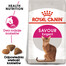 Royal Canin Feline Preference Savour Exigent 4 kg - sucha karma dla wybrednych kotów 4kg