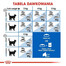 Royal Canin Home Life Indoor 2 kg - sucha karma dla kotów przebywających w domu 2kg