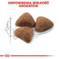 Royal Canin Home Life Indoor 2 kg - sucha karma dla kotów przebywających w domu 2kg
