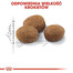 Royal Canin Regular 7+ Sterilised 10 kg - sucha karma dla kotów po sterylizacji powyżej 7 roku życia 10kg