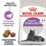 Royal Canin Regular 7+ Sterilised 10 kg - sucha karma dla kotów po sterylizacji powyżej 7 roku życia 10kg