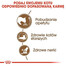Royal Canin Senior Ageing 12+ 2 kg- sucha karma dla starszych kotów powyżej 12 roku życia 2kg