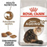 Royal Canin Senior Ageing 12+ 2 kg- sucha karma dla starszych kotów powyżej 12 roku życia 2kg