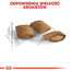 Royal Canin Senior Ageing 12+ 2 kg- sucha karma dla starszych kotów powyżej 12 roku życia 2kg