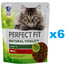 PERFECT FIT Natural Vitality adult 1+ z Wołowiną i Kurczakiem 6x650g - sucha karma dla kotów