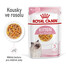 ROYAL CANIN KITTEN Instinctive karma dla kociąt w galaretce 85g x 12 saszetek