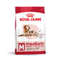 ROYAL CANIN Medium Ageing 10+ 15 kg karma sucha dla psów dojrzałych po 10 roku życia, ras średnich