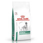 Royal Canin Dog Diabetic Canine 12 kg - sucha karma dla psów z cukrzycą 12kg