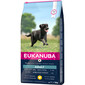 Eukanuba Adult Large Breed Chicken 15 kg - sucha karma dla psa 15kg