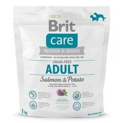 Brit Care Grain - Free Salmon & Potato 1kg - sucha bezzbożowa karma dla dorosłych psów łosoś ziemniak 1kg