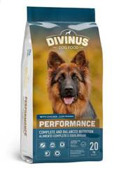 DIVINUS Performance dla owczarka niemieckiego i aktywnych psów, 20 kg - sucha karma dla psów dorosłych, 20 kg