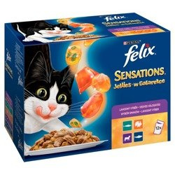 Felix Sensations Karma dla kotów w galaretce 1200 g (12 x 100 g)