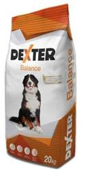 REX Dexter Balance 20kg z witaminami - sucha karma dla psów dorosłych ras dużych z dodatkiem witamin, 20 kg