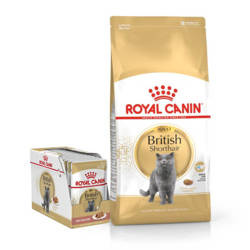 Royal Canin British Shorthair 4kg + Royal Canin British Shorthair w Sosie 12 x 85g ZESTAW