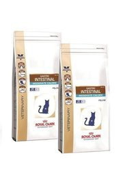 Royal Canin Cat Gastro Intestinal Moderate Calorie Feline - sucha karma dla kotów z tendencją do nadwagi 2x 4kg