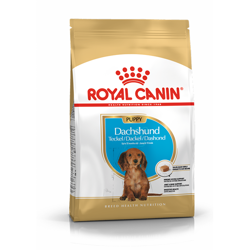 Royal Canin Dachshund Puppy 1,5 kg - sucha karma dla szczeniąt i młodych psów rasy jamnik 1.5kg
