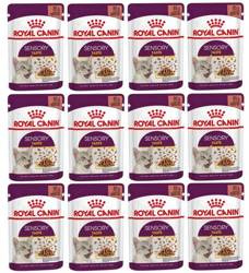 Royal Canin FN Sensory Taste w sosie 12 x 85g - mokra karma dla kotów dorosłych, 12 x 85 g ZESTAW