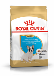 Royal Canin French Bulldog Puppy 10 kg - sucha karma dla młodych psów rasy Buldog Francuski 10kg